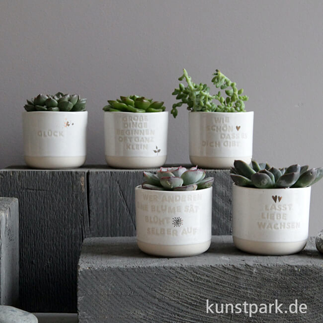 Artikelbild 2 des Artikels “Good old friends - Mini Blumentopf, Wer anderen eine Blume sät “