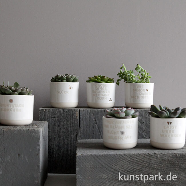Artikelbild 2 des Artikels “Good old friends - Mini Blumentopf, Wie schön, dass es Dich gibt “
