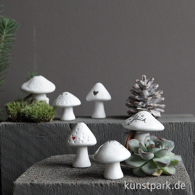 Artikelbild 2 des Artikels “Good old friends - Winter Glückspilz, Goldstern “