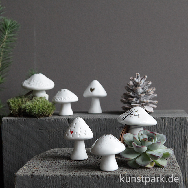 Artikelbild 2 des Artikels “Good old friends - Winter Glückspilz, Silbersterne “