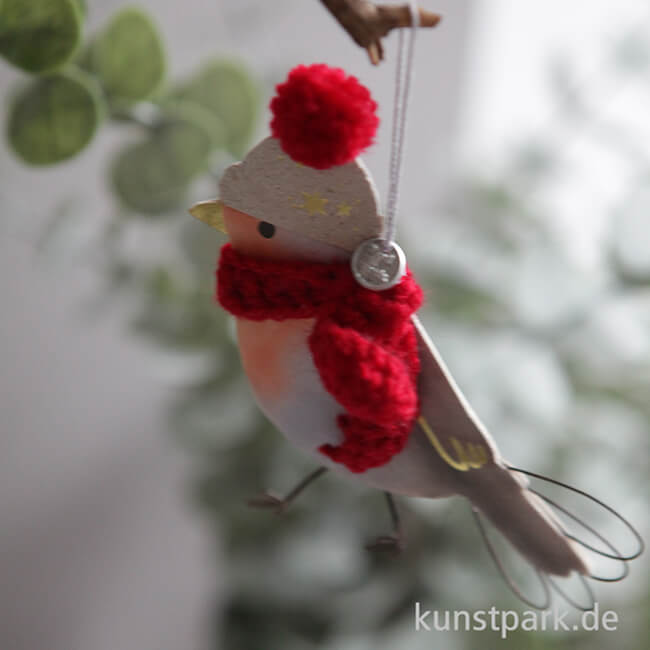 Artikelbild 2 des Artikels “Good old friends - Wintervogel, Rotkehlchen, Roter Schal “