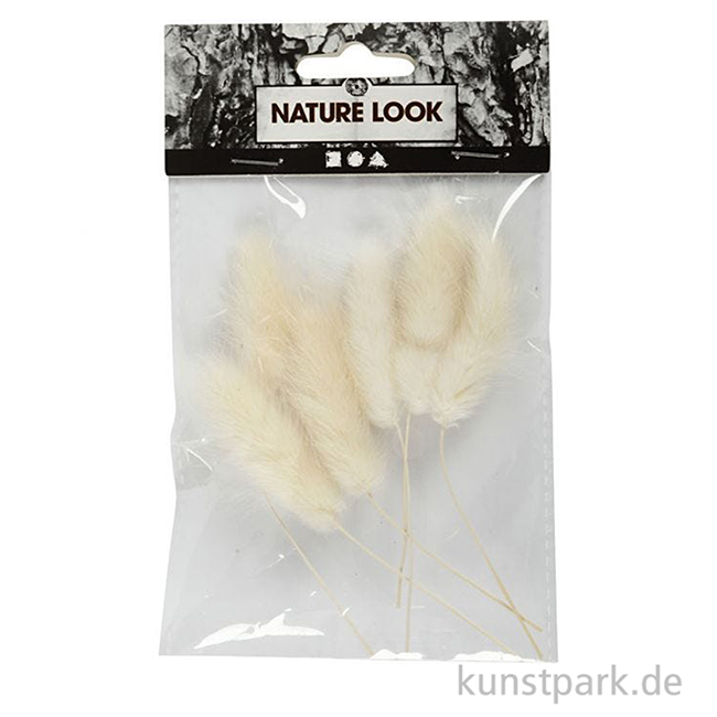 Artikelbild 2 des Artikels “Helles Federgras, 6 Stück im Set, Länge etwa 3 bis 7 cm “