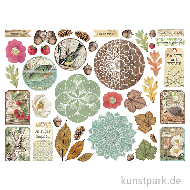 Artikelbild 2 des Artikels “Stamperia Die Cuts - Forest, 41 Stanzteile “
