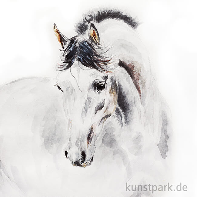 Artikelbild 2 des Artikels “Talens REMBRANDT Aquarellfarben “