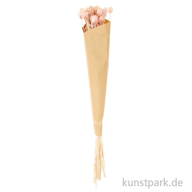 Artikelbild 3 des Artikels “Getrocknete japanische Karde Pink, 50 g als Bund “