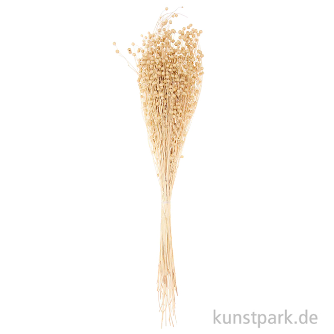 Artikelbild 3 des Artikels “Getrockneter Flachs Natur, 100 g als Bund “