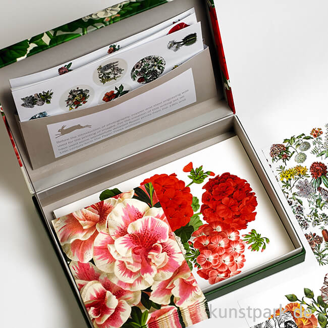 Artikelbild 3 des Artikels “PEPIN Briefpapier Set - Flower Prints “