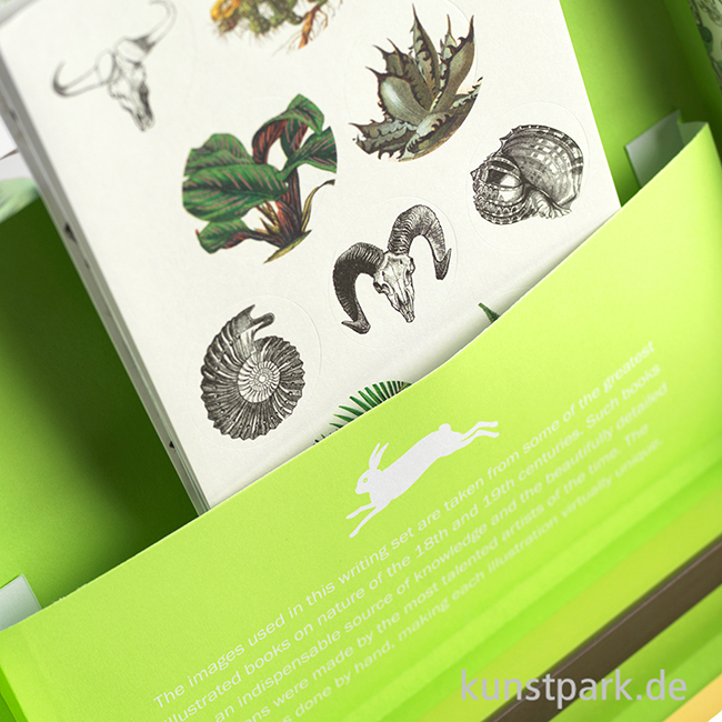Artikelbild 3 des Artikels “PEPIN Briefpapier Set - Natural History “