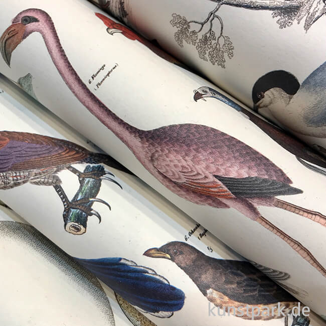 Artikelbild 3 des Artikels “PEPIN Kreativpapier Buch - Fauna “