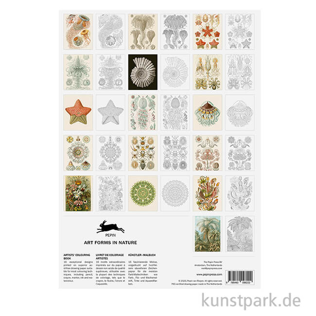 Artikelbild 3 des Artikels “PEPIN Künstler Malbuch - Art Forms in Nature “