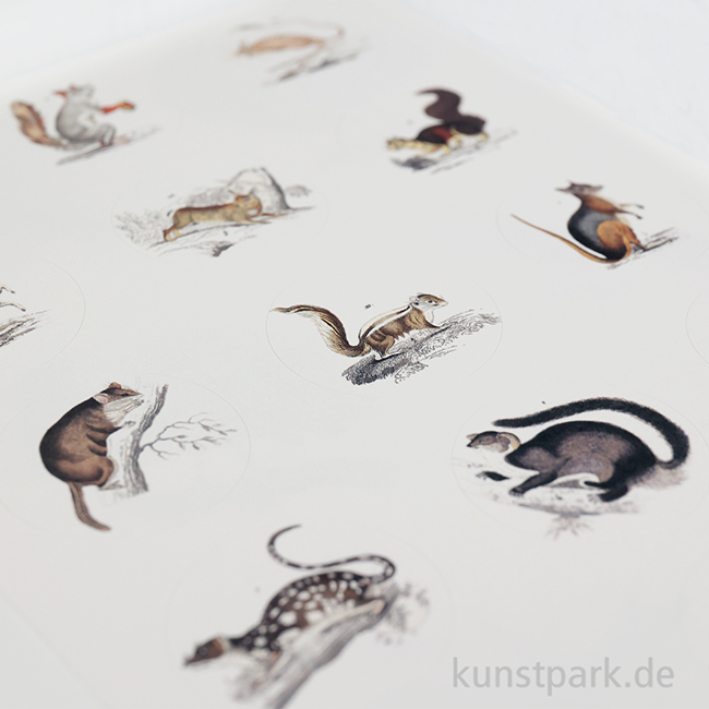 Artikelbild 3 des Artikels “PEPIN Labels, Sticker und Tapes - Fauna “